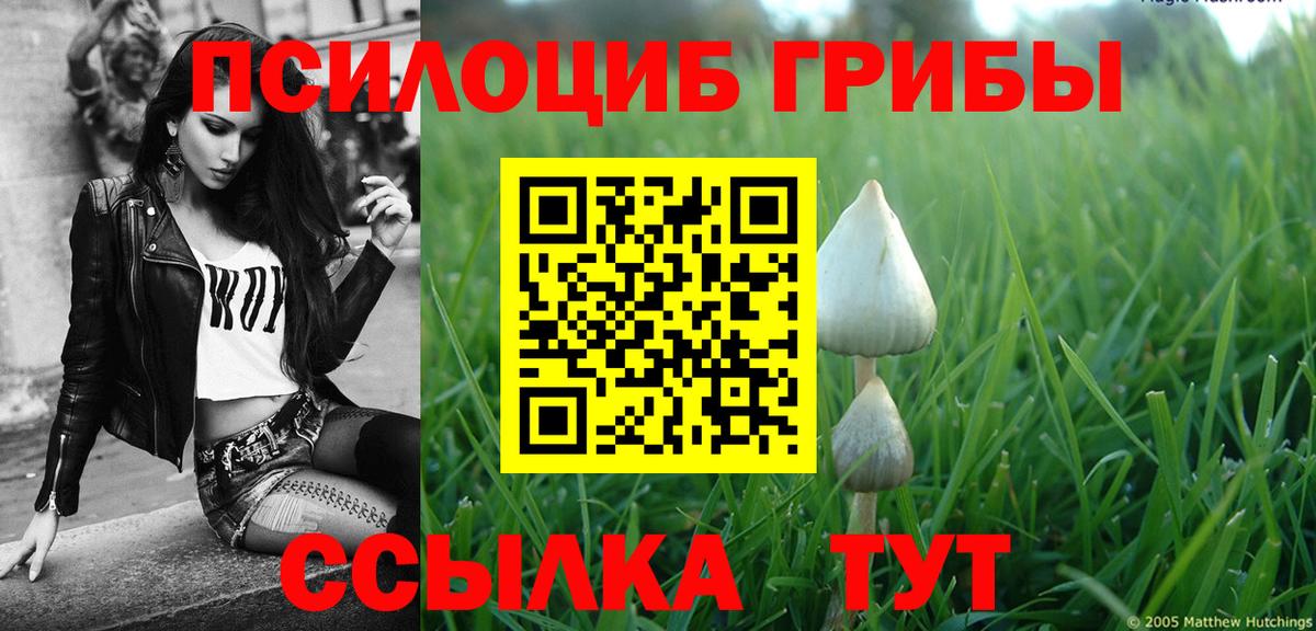 закладка  Вход с VPN  Галлюциногенные грибы MAGIC MUSHROOMS  Ленинск-Кузнецкий  Псилоцибиновые грибы мухоморы 