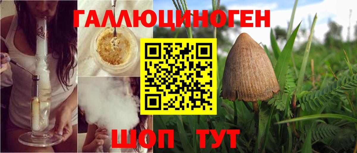 Псилоцибиновые грибы GOLDEN TEACHER Ленинск-Кузнецкий